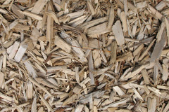 biomass boilers Gamblesby